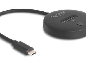 DELOCK docking station 64254 για M.2 NVMe/SATA SSD, 10Gbps, μαύρο
