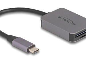 DELOCK card reader 91009 για SD & micro SD, USB-C, 5 Gbps, γκρι