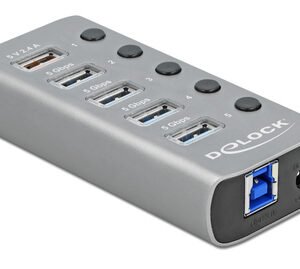 DELOCK USB hub 63262 με διακόπτες, 5x θυρών, 5Gbps, 2.4A, γκρι