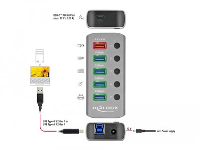 DELOCK USB hub 63263 με διακόπτες, 6x θυρών, 5Gbps, 12V/2.25A PD, γκρι - Image 2