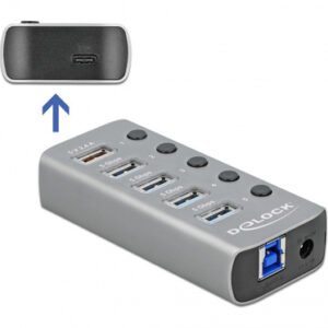 DELOCK USB hub 63263 με διακόπτες, 6x θυρών, 5Gbps, 12V/2.25A PD, γκρι