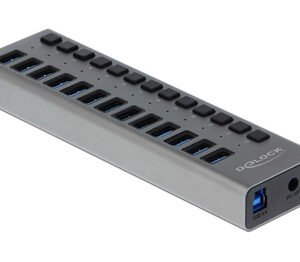 DELOCK USB hub 63738 με διακόπτες, 13x θυρών, 5Gbps, γκρι
