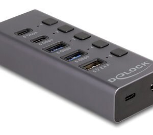 DELOCK USB hub 64248 με διακόπτες, 5x θυρών, 5Gbps, USB/USB-C σύνδεση, γκρι