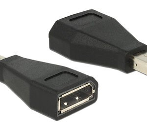 DELOCK αντάπτορας mini DisplayPort σε DisplayPort 65238, 4K/60Hz, μαύρος
