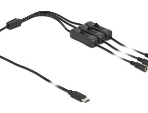 DELOCK καλώδιο USB Type-C σε 3x DC 5.5 x 2.1mm 86801, 1m, μαύρο