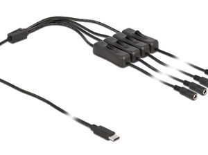 DELOCK καλώδιο USB Type-C σε 4x DC 5.5 x 2.1mm 86802, 1m, μαύρο