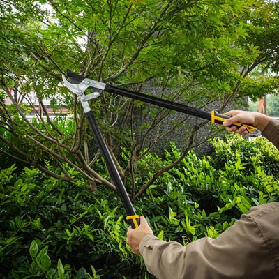 DELI κλαδευτήρι DL580321 με αντιολισθητικές λαβές, 77.5cm - Image 2